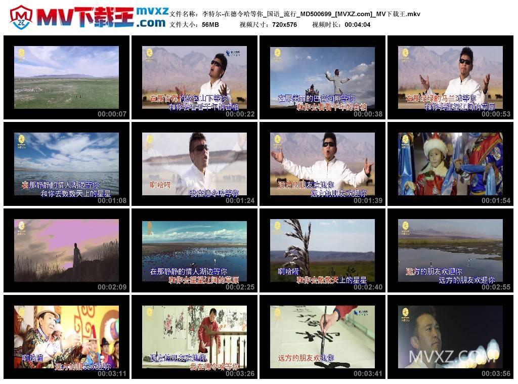 李特尔-在德令哈等你_国语_流行_MD500699